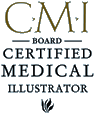 CMI - Board Certified Medical Illustrator